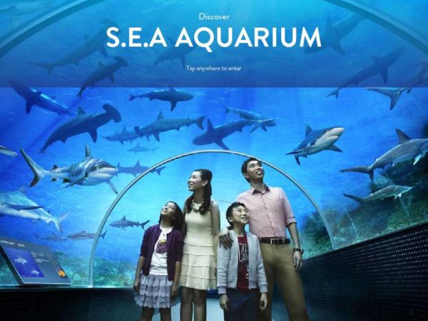 Sea Aquarium Singapore (inclusive of MEMA)