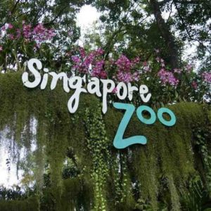 Tiket Singapore Zoo murah